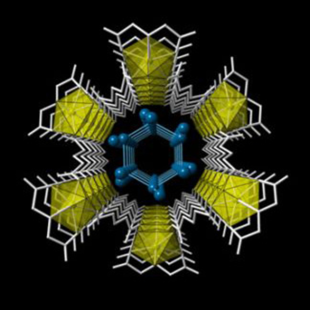 nanoconfined water molecule